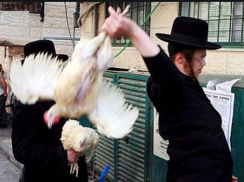 Why are thousands of live chickens swung over heads before Yom Kippur?
